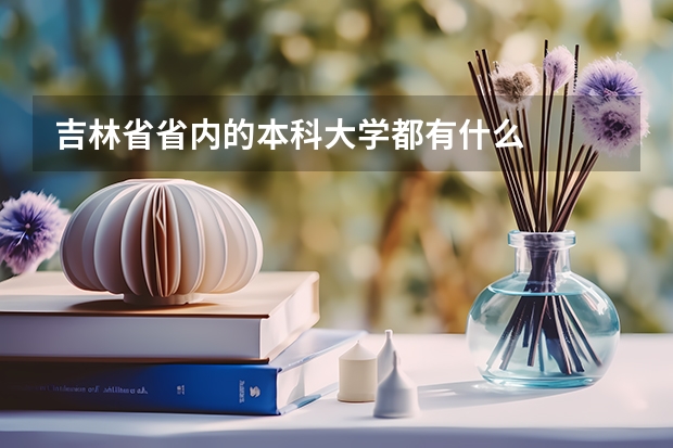 吉林省省内的本科大学都有什么
