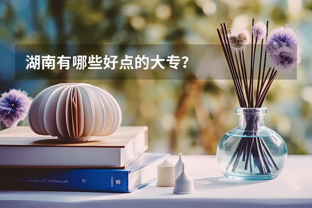 湖南有哪些好点的大专?