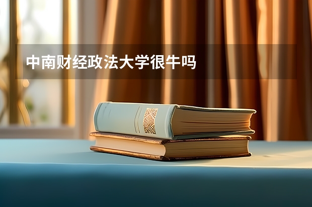 中南财经政法大学很牛吗