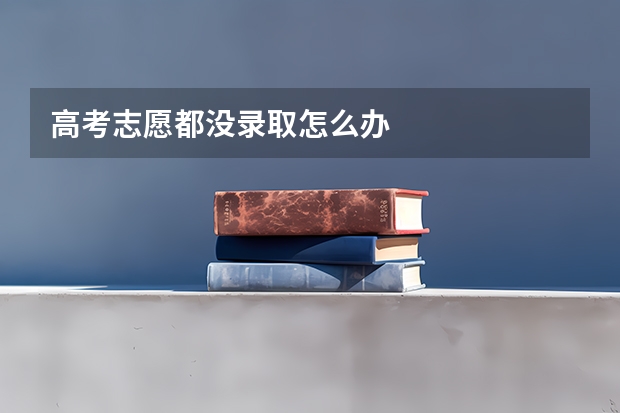 高考志愿都没录取怎么办