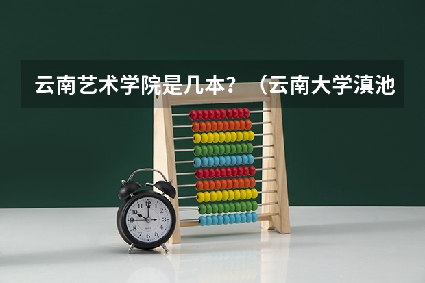 云南艺术学院是几本？（云南大学滇池学院舞蹈专业分数线）
