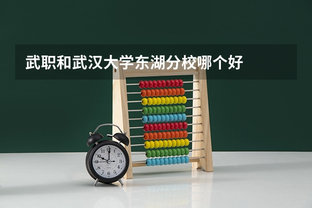 武职和武汉大学东湖分校哪个好