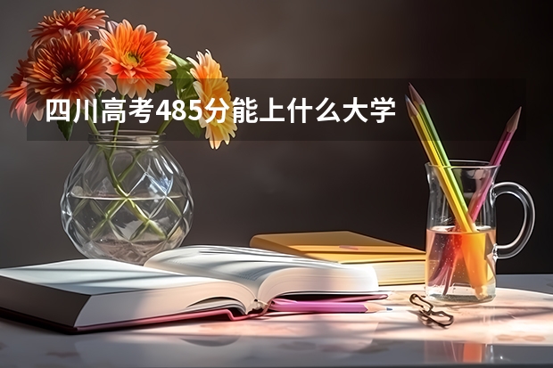 四川高考485分能上什么大学