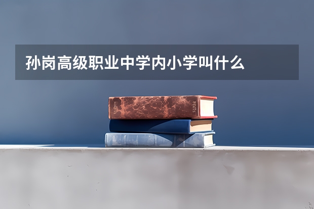 孙岗高级职业中学内小学叫什么