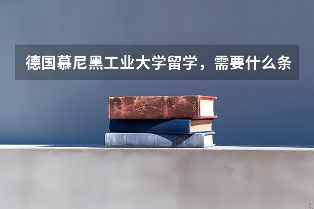 德国慕尼黑工业大学留学,需要什么条件?