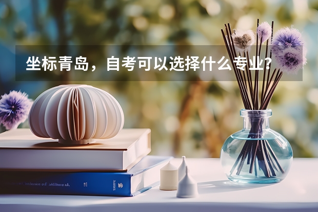 坐标青岛，自考可以选择什么专业？