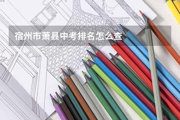 宿州市萧县中考排名怎么查