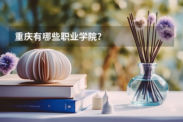 重庆有哪些职业学院？
