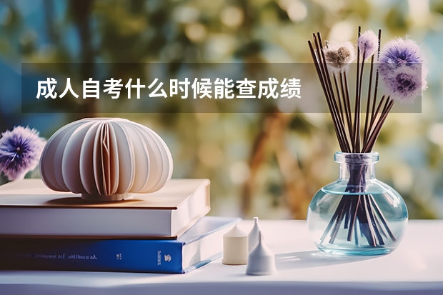 成人自考什么时候能查成绩