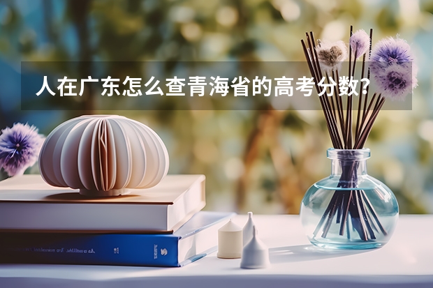 人在广东怎么查青海省的高考分数？