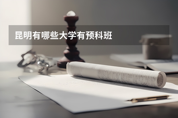 昆明有哪些大学有预科班