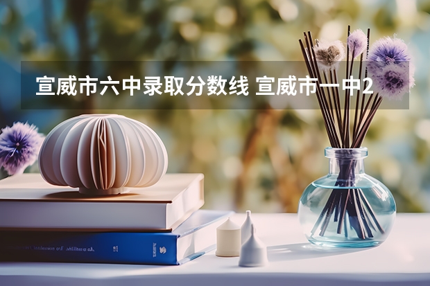 宣威市六中录取分数线 宣威市一中2023取分线