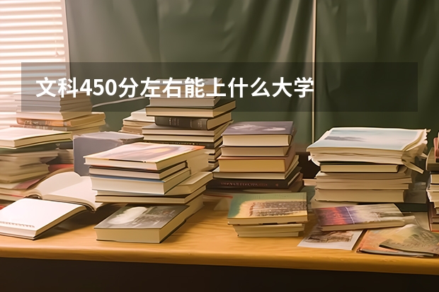 文科450分左右能上什么大学