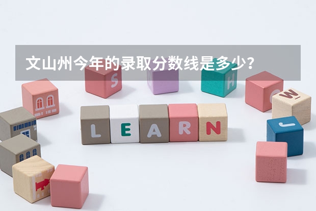 文山州今年的录取分数线是多少？