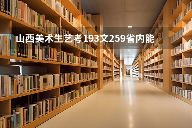 山西美术生艺考193文259省内能上什么学校？