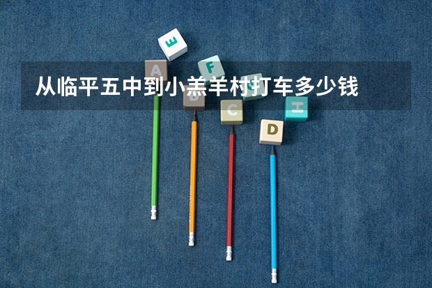 从临平五中到小羔羊村打车多少钱