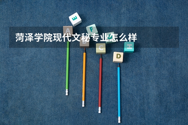 菏泽学院现代文秘专业怎么样