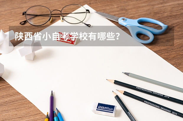 陕西省小自考学校有哪些？