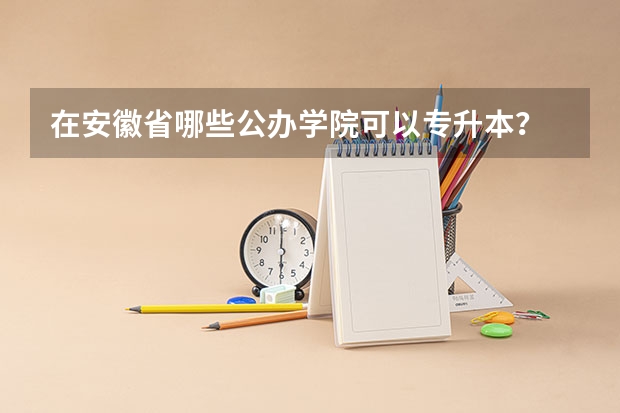 在安徽省哪些公办学院可以专升本？