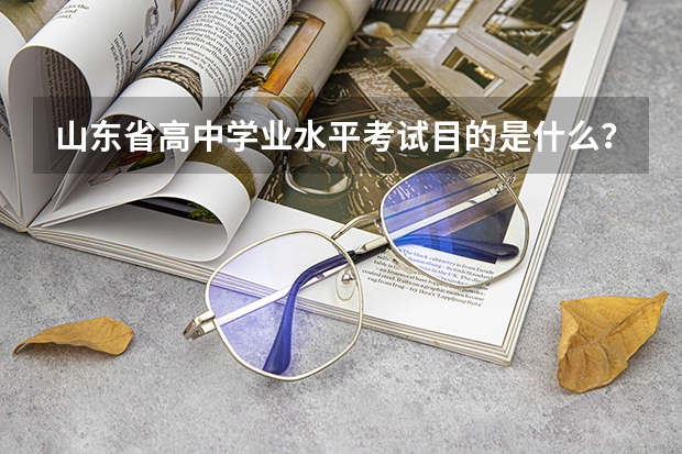 山东省高中学业水平考试目的是什么？？加入高考成绩么？我高考！