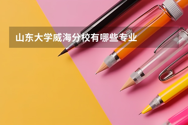 山东大学威海分校有哪些专业