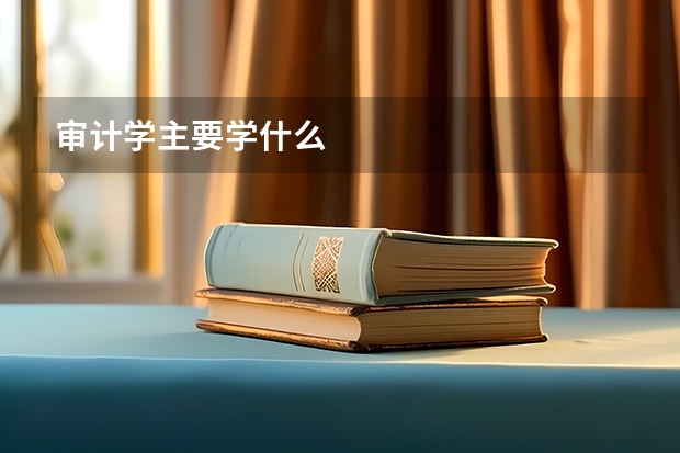 审计学主要学什么