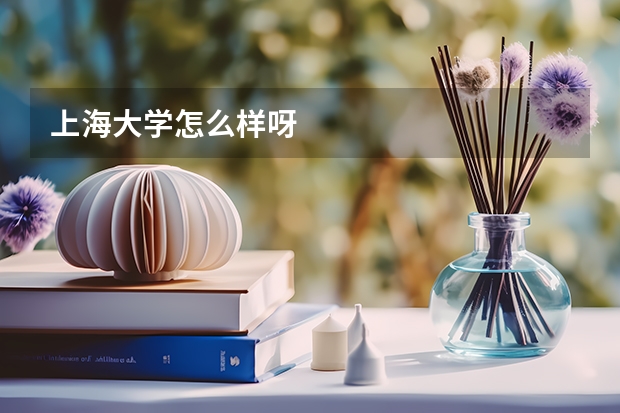 上海大学怎么样呀