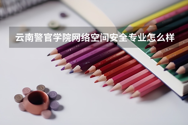 云南警官学院网络空间安全专业怎么样
