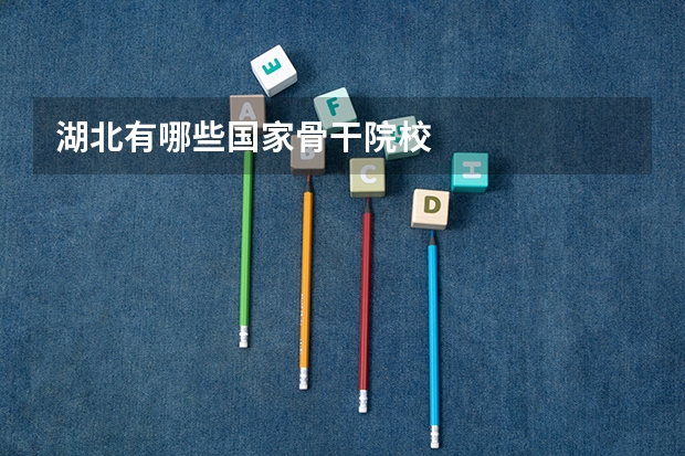 湖北有哪些国家骨干院校