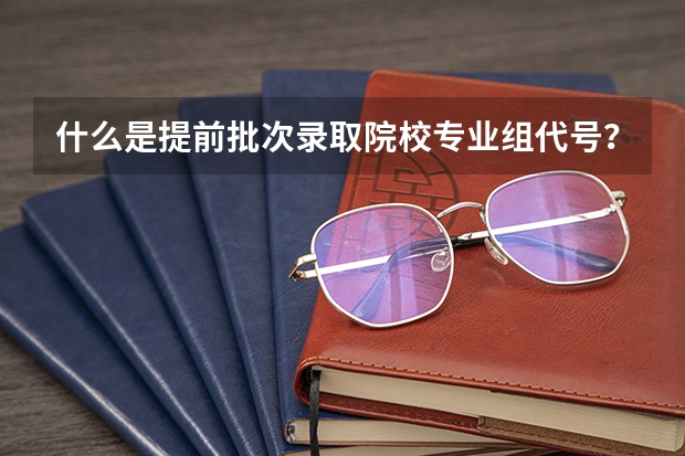 什么是提前批次录取院校专业组代号？