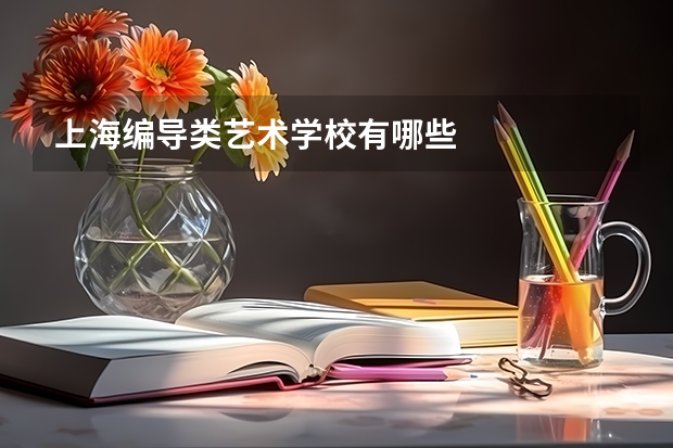 上海编导类艺术学校有哪些