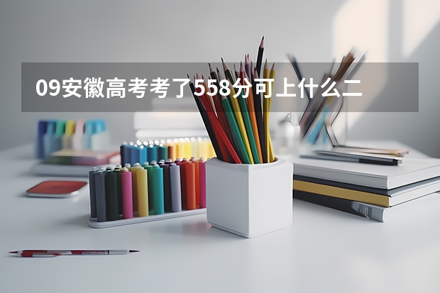 09安徽高考考了558分可上什么二本大学