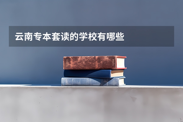 云南专本套读的学校有哪些