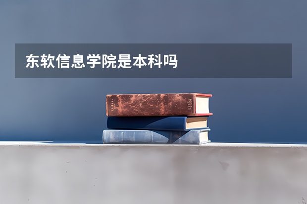 东软信息学院是本科吗