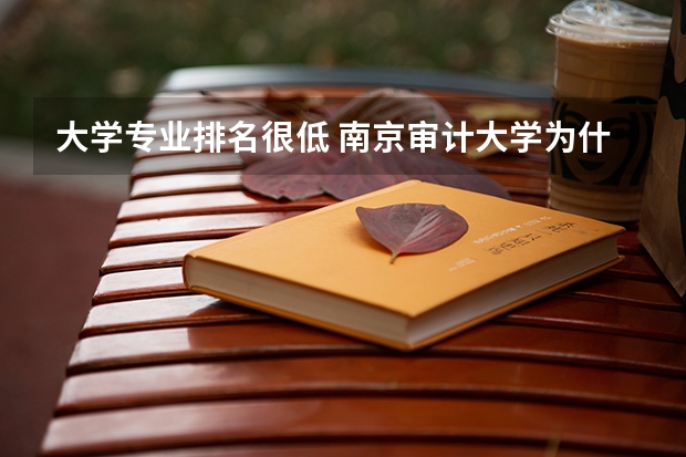 大学专业排名很低 南京审计大学为什么排名低