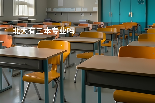 北大有二本专业吗