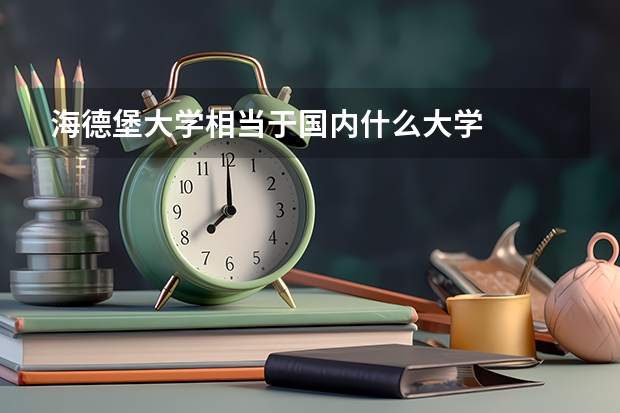 海德堡大学相当于国内什么大学