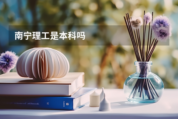 南宁理工是本科吗