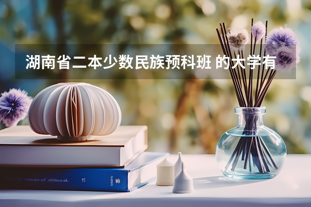 湖南省二本少数民族预科班 的大学有哪些‘