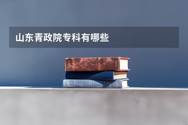 山东青政院专科有哪些