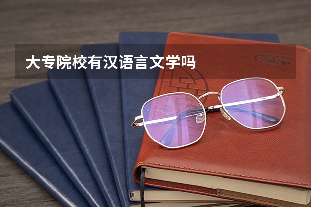 大专院校有汉语言文学吗