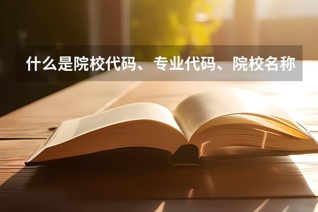 什么是院校代码、专业代码、院校名称、专业名称的