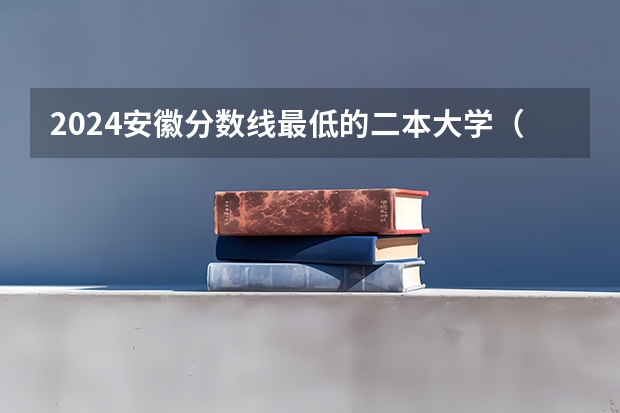 2024安徽分数线最低的二本大学（云南480文科能上的二本大学）