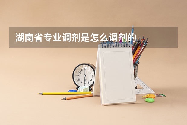 湖南省专业调剂是怎么调剂的