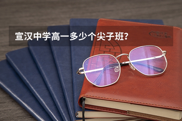 宣汉中学高一多少个尖子班?