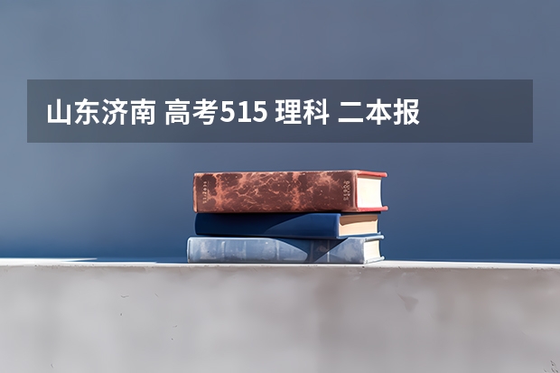 山东济南 高考515 理科 二本报会计学 可以报哪些学校，第一志愿时报稳点的还是去冲一下.