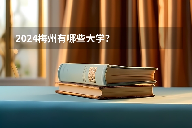 2024梅州有哪些大学？