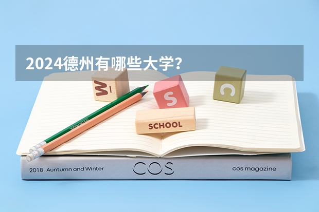 2024德州有哪些大学？