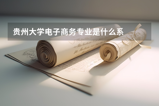 贵州大学电子商务专业是什么系