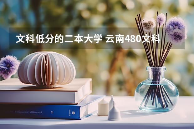 文科低分的二本大学 云南480文科能上的二本大学